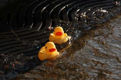 rubber duckies